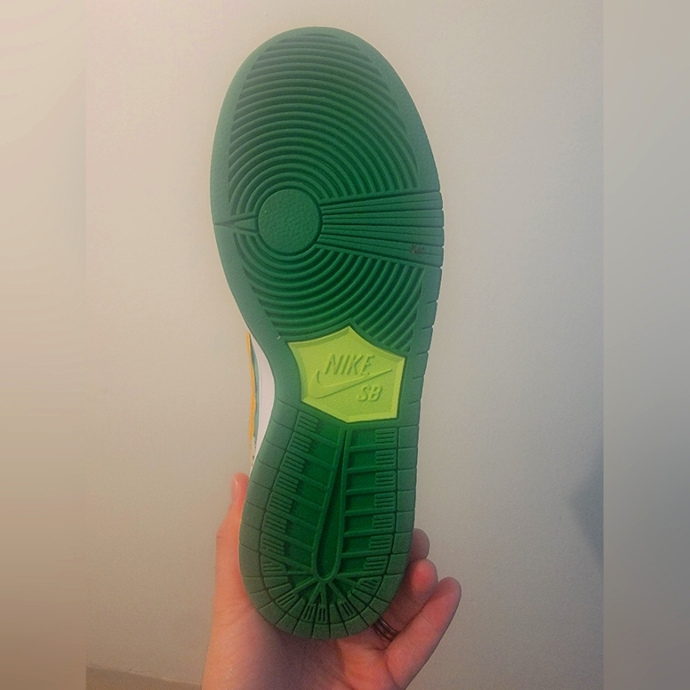 Nike dunk sb chunky dunky